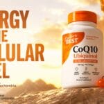 Best CoQ10 ubiquinol supplement orange capsules