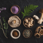 Lion's Mane vs Reishi: Which Mushroom Is Better? 2026 Mushroom and adaptogen supplements collection