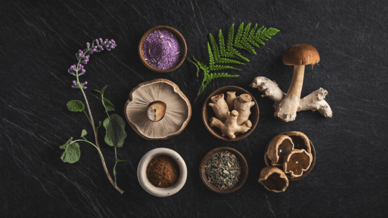 Mushroom and adaptogen supplements collection
